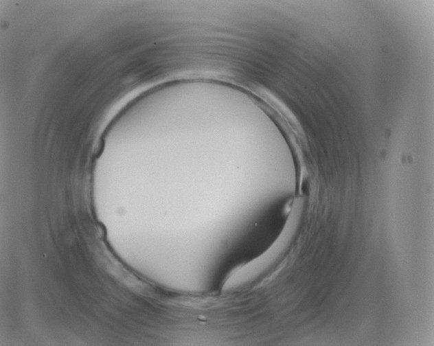 X0000082681340200702232128