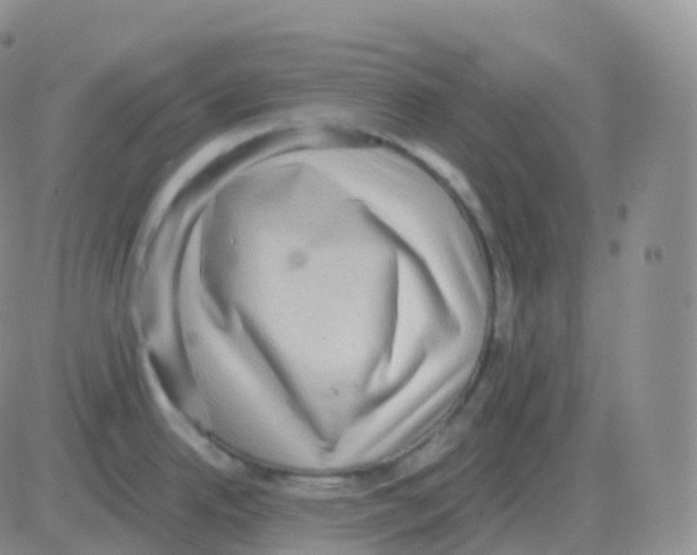 X0000082681342200702232128