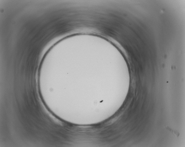 X0000082681343200702232128