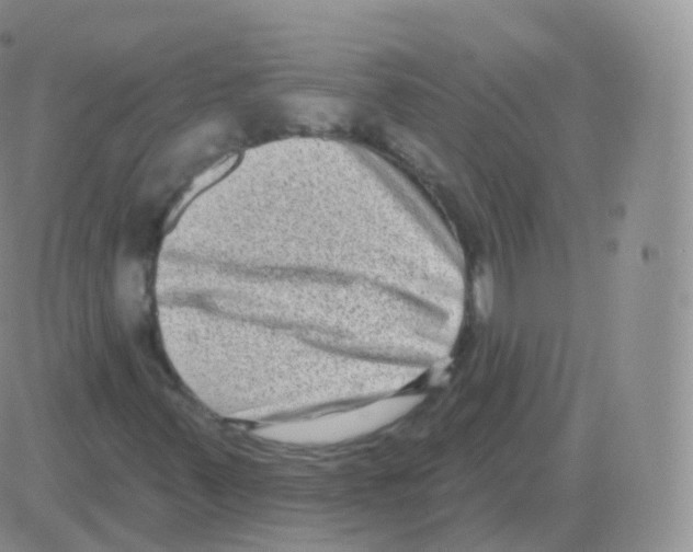 X0000082681347200702232127