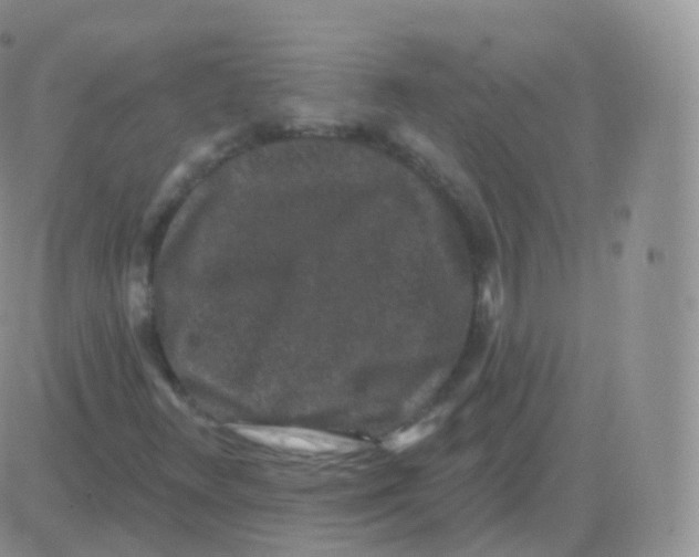 X0000082681348200702232127