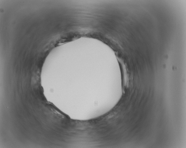 X0000082681349200702232127