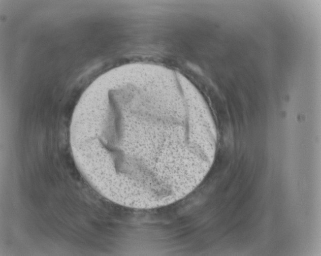 X0000082681350200702232127