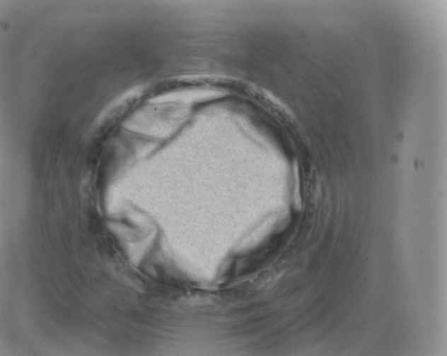 X0000082681351200702232127