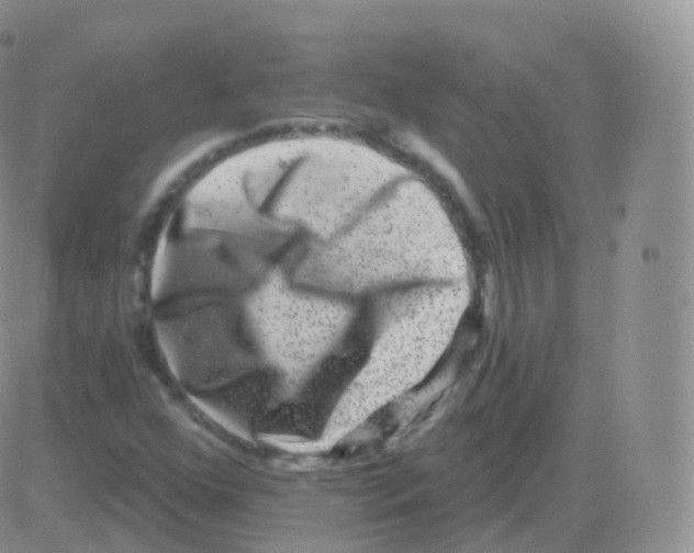 X0000082681352200702232127