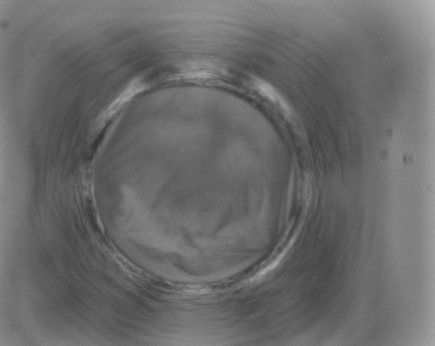 X0000082681353200702232127