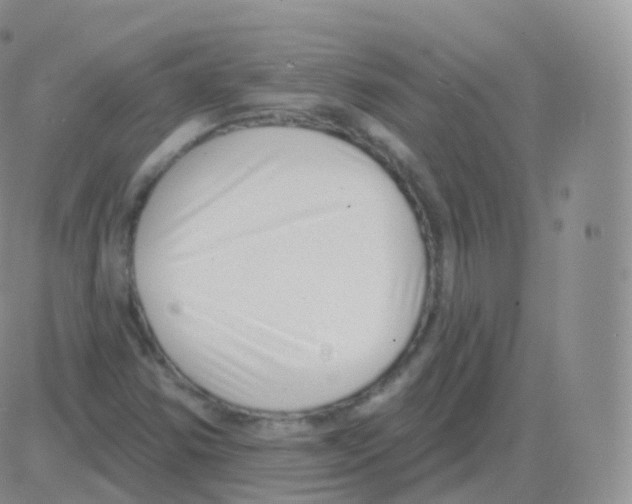 X0000082681354200702232127