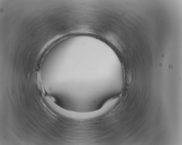 X0000082681356200702232127