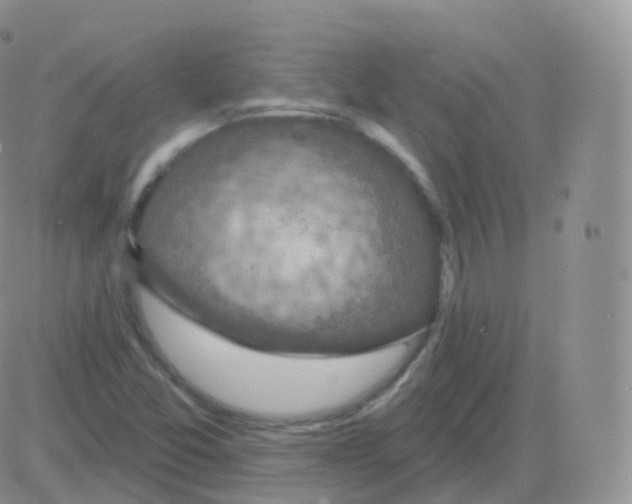 X0000082681357200702232127