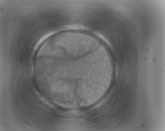 X0000082681358200702232127