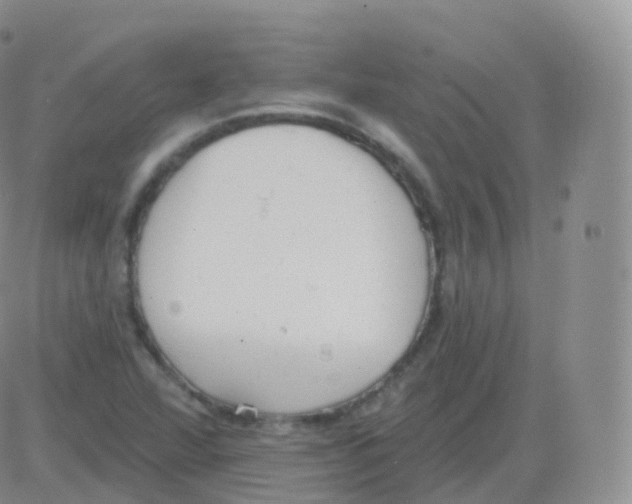 X0000082681360200702232127