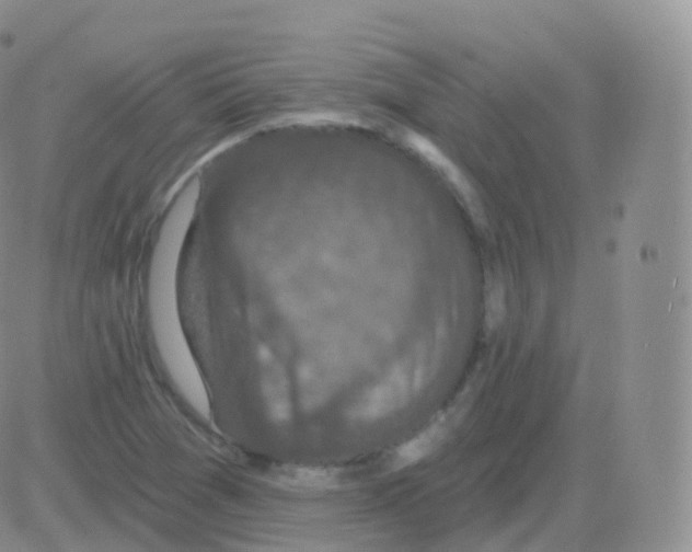 X0000082681361200702232127