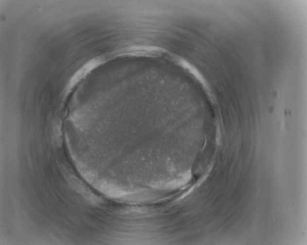 X0000082681362200702232127