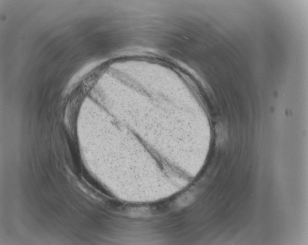 X0000082681363200702232127