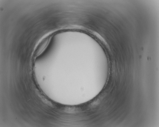 X0000082681364200702232127