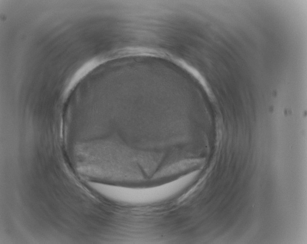 X0000082681365200702232127