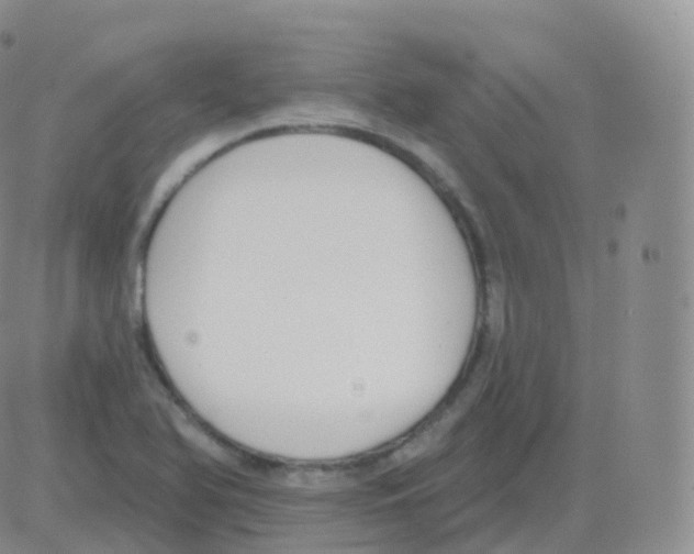 X0000082681366200702232127