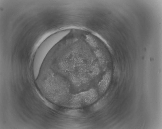 X0000082681367200702232127