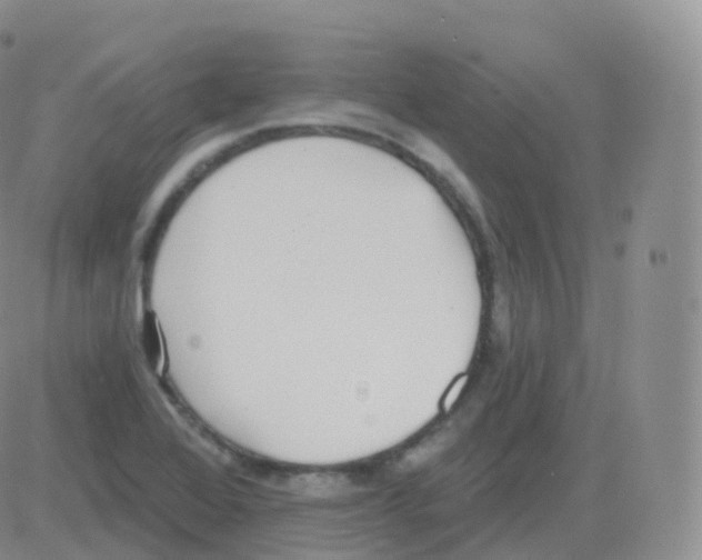 X0000082681368200702232127