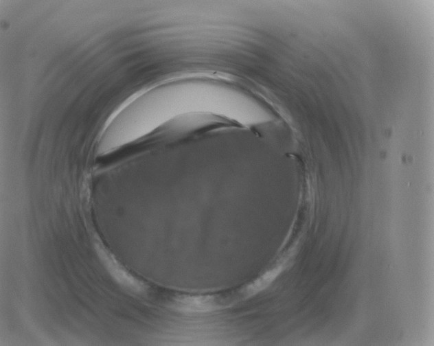 X0000082681369200702232127