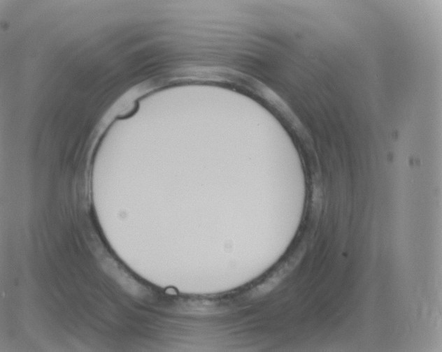 X0000082681370200702232127