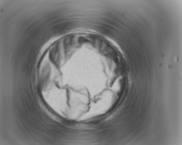 X0000082681371200702232127