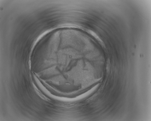 X0000082681372200702232127