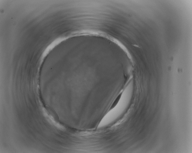 X0000082681373200702232127