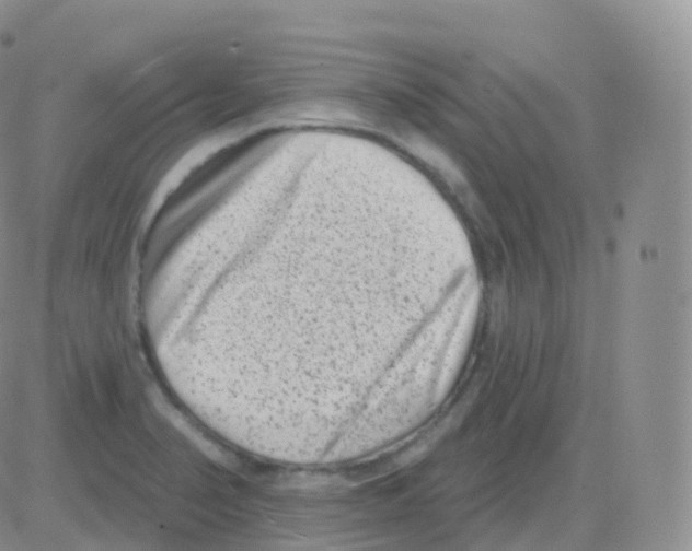 X0000082681374200702232127