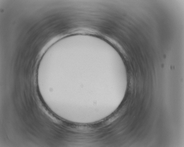 X0000082681375200702232127