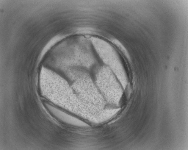 X0000082681376200702232127