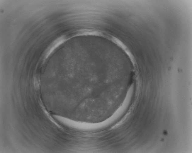 X0000082681377200702232127