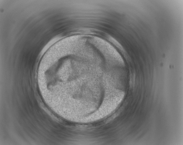 X0000082681378200702232127