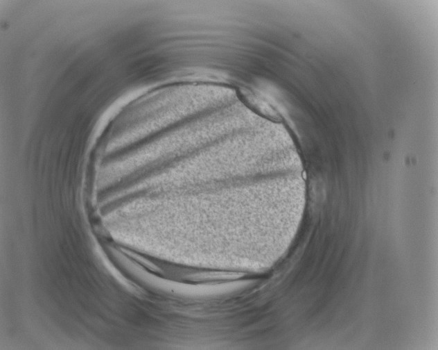 X0000082681379200702232127