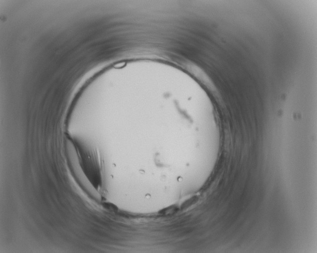 X0000082681380200702232127