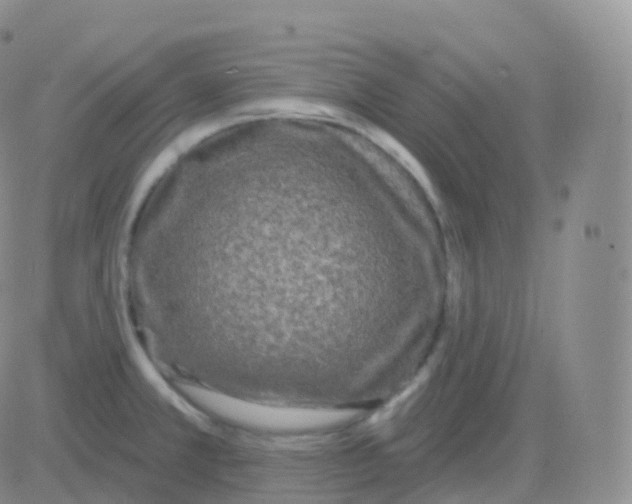 X0000082681381200702232127