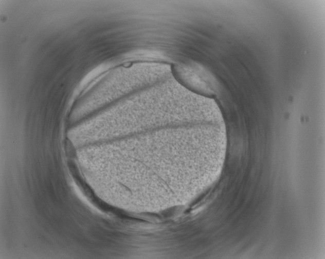 X0000082681382200702232127