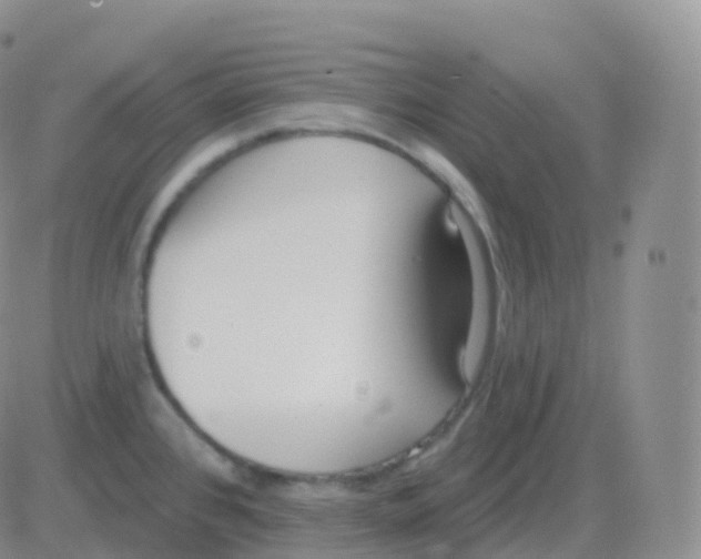 X0000082681384200702232127