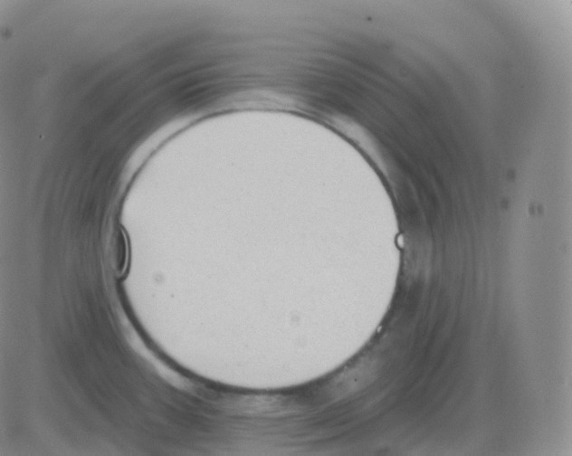 X0000082681387200702232127