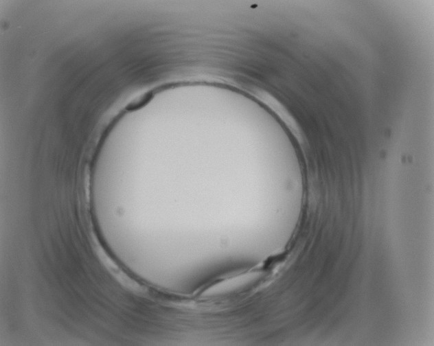 X0000082681388200702232127