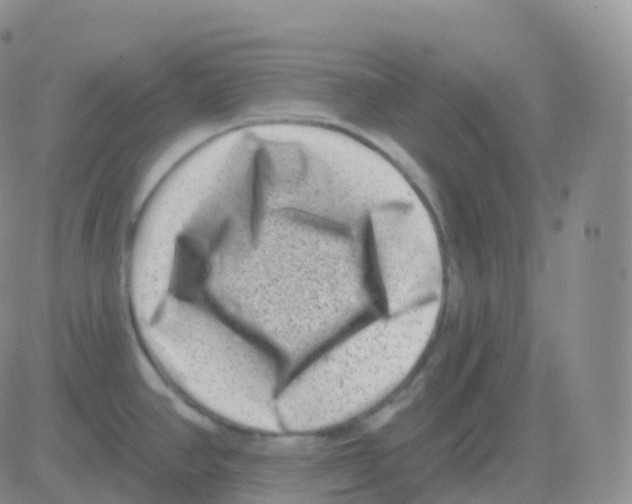 X0000082681390200702232127