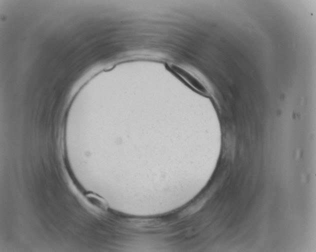 X0000082681391200702232127