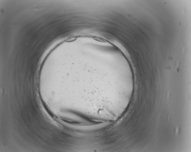 X0000082681392200702232127