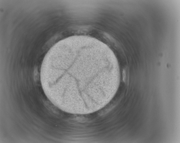 X0000082681395200702232126