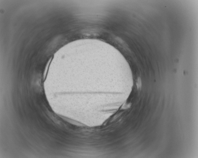 X0000082681396200702232126