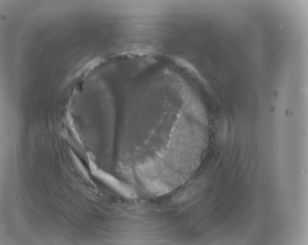 X0000082681399200702232126