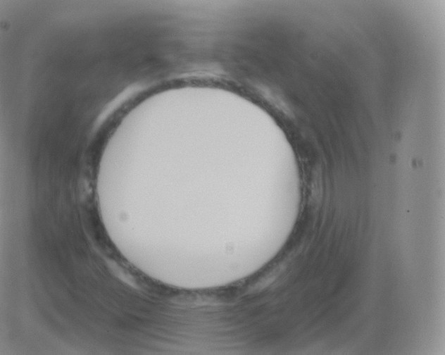 X0000082681400200702232126