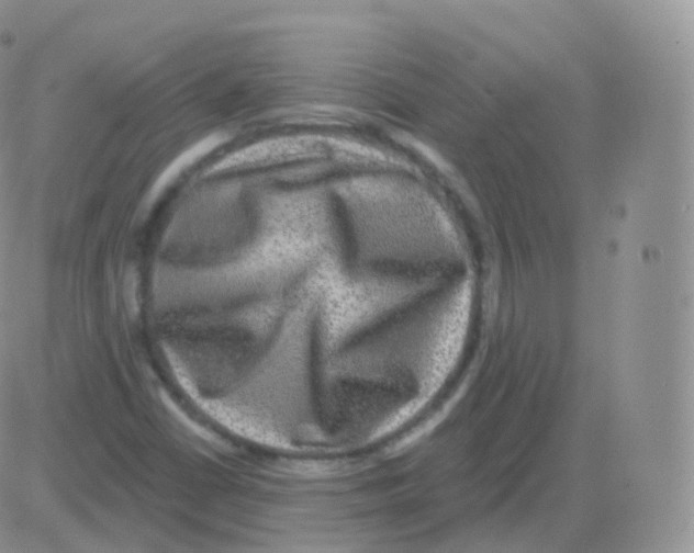 X0000082681402200702232126