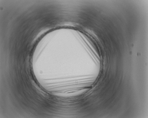 X0000082681404200702232126