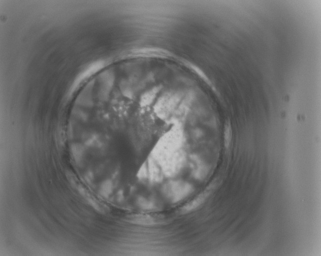 X0000082681405200702232126